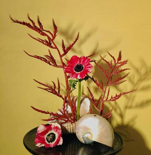 ikebana
