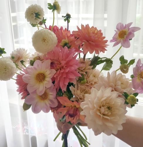 dahlia bouquet